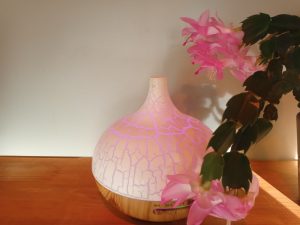 reflexology_room_diffuser